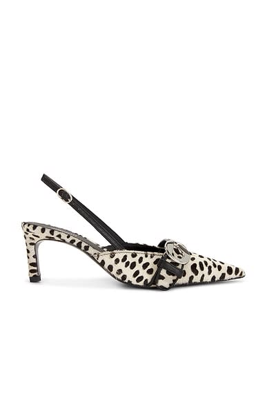 Belt Kitten Heel