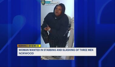News 12 | Bronx | Woman Wanted For Stabbing 2 Men Slashing Another Near North Central Bronx Hospital
