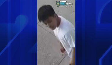 News 12 | Brooklyn | Teen Slashed And Robbed In Bath Beach