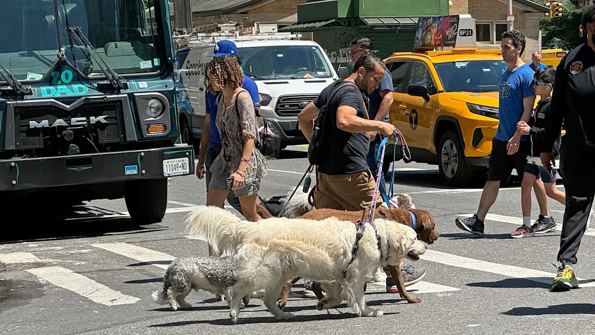 NYC dog owners could be hit with $250 fines in new sidewalk poop crackdown