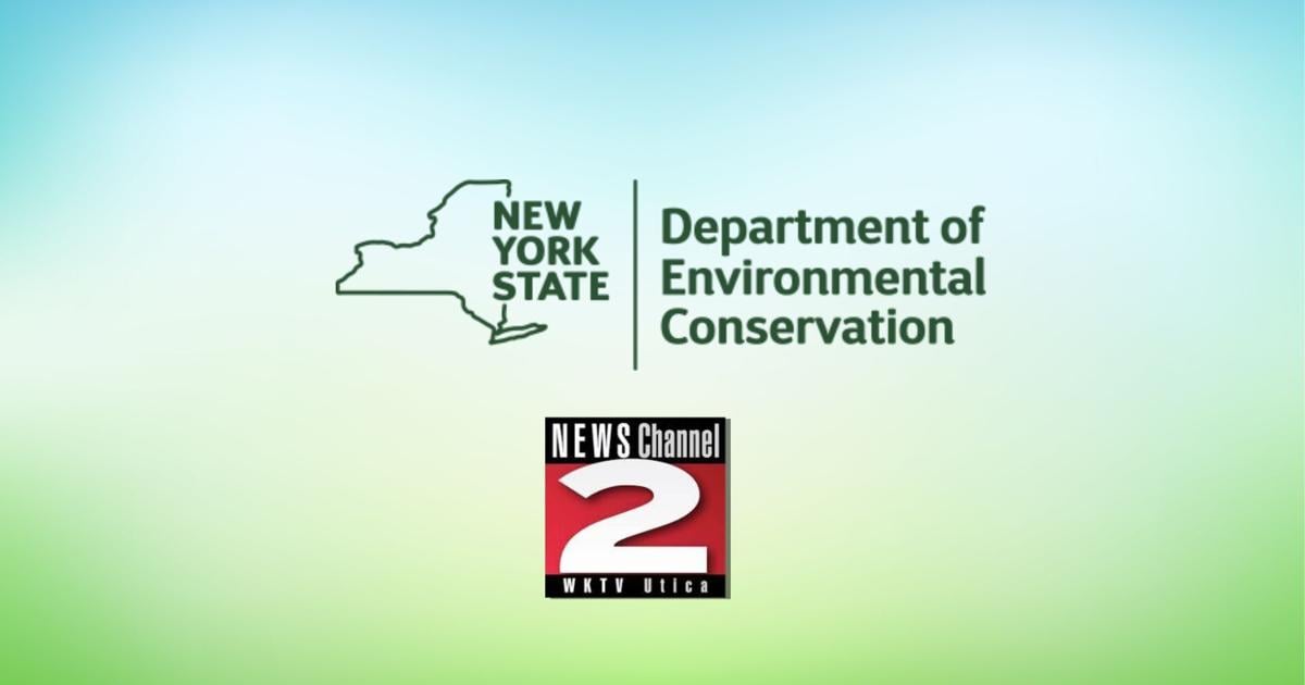 New York Boat Stewards Return to 220+ Launches Statewide | Entertainment