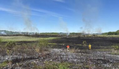 New York DEC Forest Rangers help put out 66-acre wildfire in Bombay
