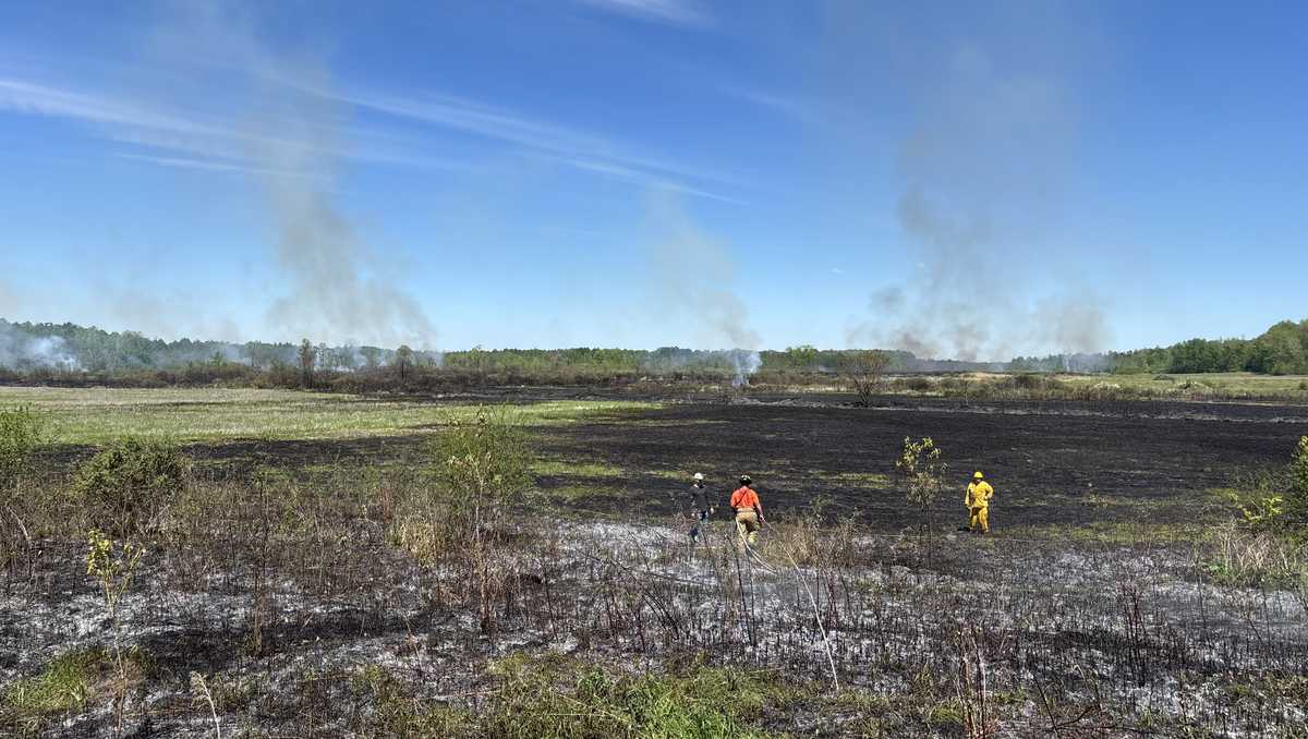 New York DEC Forest Rangers help put out 66-acre wildfire in Bombay