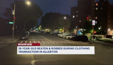 News 12 | Bronx | 18 Year Old Beaten Robbed During Clothing Transaction In Allerton
