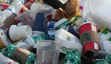 Food industry opposes revised New York packaging reduction act | New York