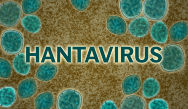 New York City, Orange and Westchester County Residents Face 42-Day Monitoring for Hantavirus | Health