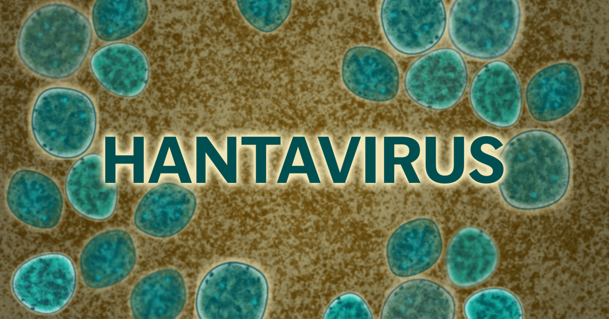 New York City, Orange and Westchester County Residents Face 42-Day Monitoring for Hantavirus | Health