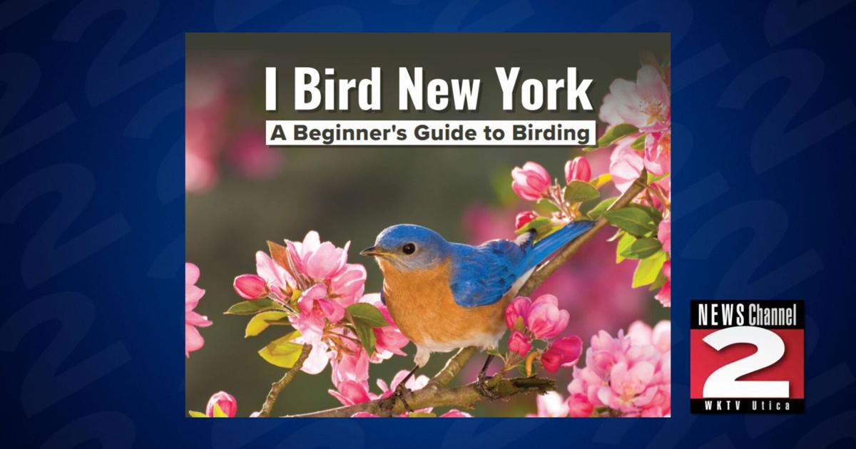 Migratory Bird Day in New York: Print Your Free Checklist | Education