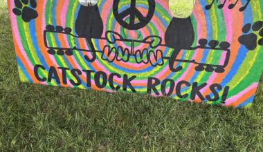 Cat Lovers Flock to Catstock 6 in Oneida for Good Cause | Local