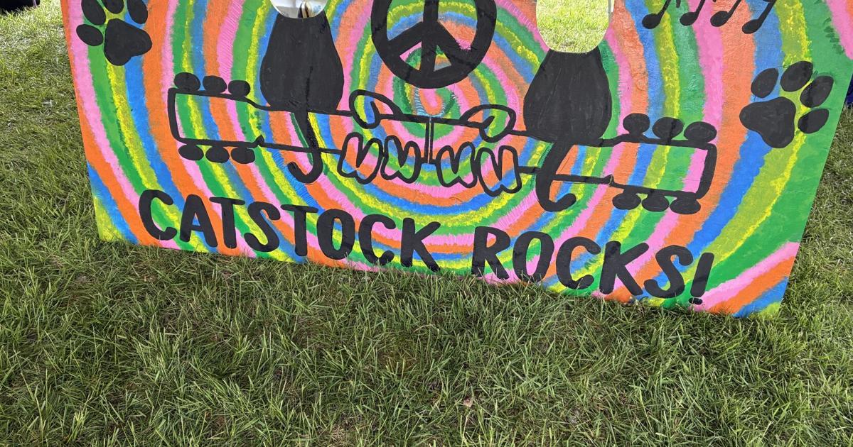 Cat Lovers Flock to Catstock 6 in Oneida for Good Cause | Local