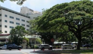 HPD officer-involved shooting near Queen’s hospital ruled suicide by cop | News