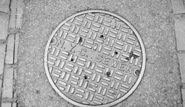 Woman dies after falling into open manhole in Midtown Manhattan: ‘It was like she disappeared’ | National News