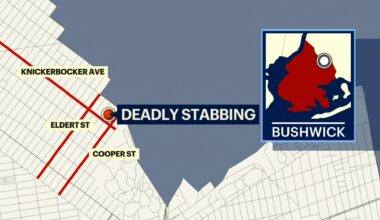 News 12 | Bronx | Woman Stabbed To Death In Bushwick Attack