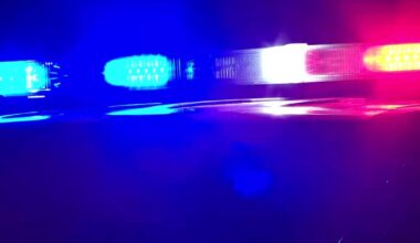 Brooklyn Park police pursue carjacking suspects into woods, recover gun