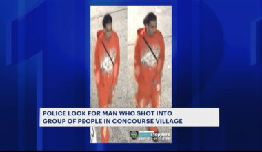 News 12 | Bronx | Man Wanted For Shooting At Group Of People In Concourse Village