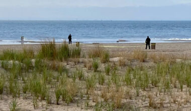 Brooklyn mom who drowned 3 kids on Coney Island beach sentenced to 20 years to life