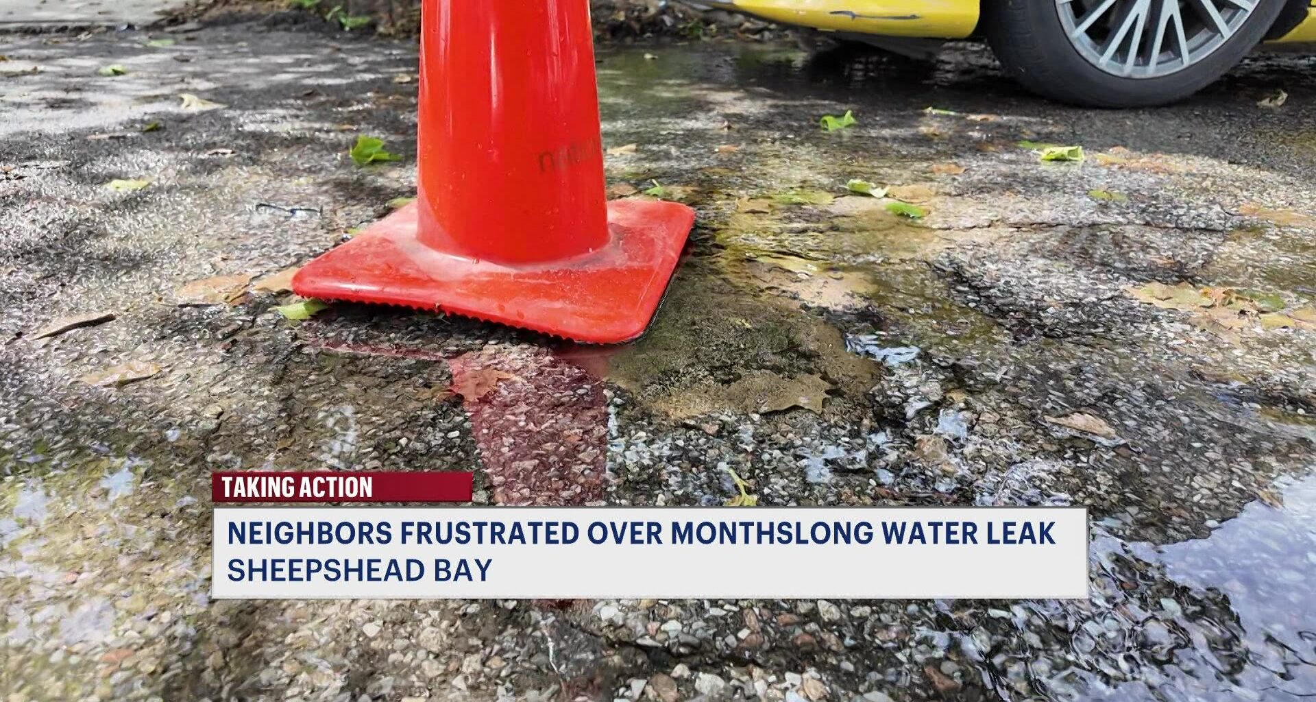 News 12 | Bronx | Sheepshead Bay Neighbors Frustrated Over Monthslong Water Leak