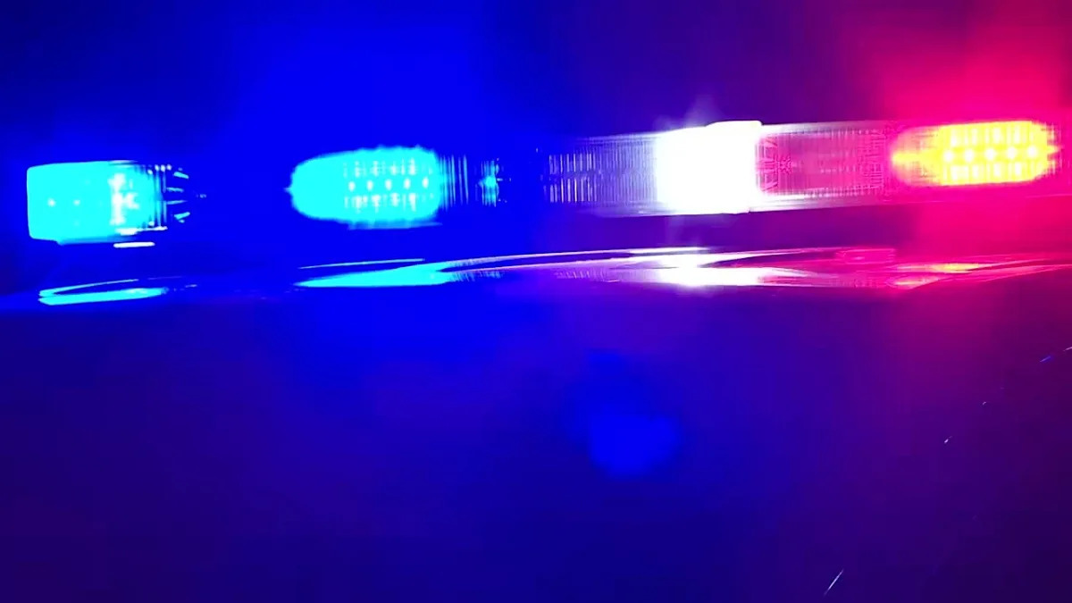Brooklyn Park police pursue carjacking suspects into woods, recover gun