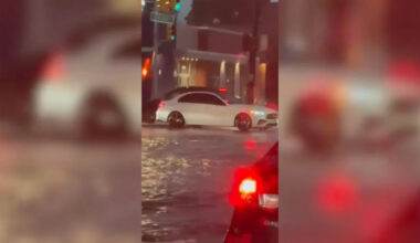 Heavy rainfall, thunderstorms bring flooded roadways, downed trees in New York City