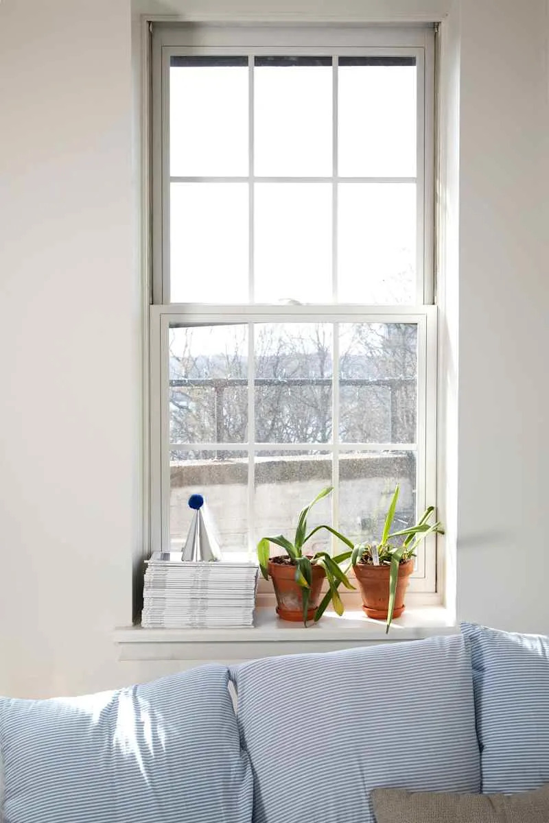 Bright window with a view, potted plants on the sill, and striped cushions on a sofa.