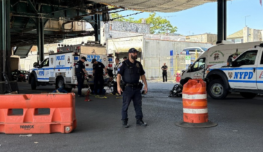 Cops baffled after seven people filmed emerging from Brooklyn manhole, changing clothes and disappearing