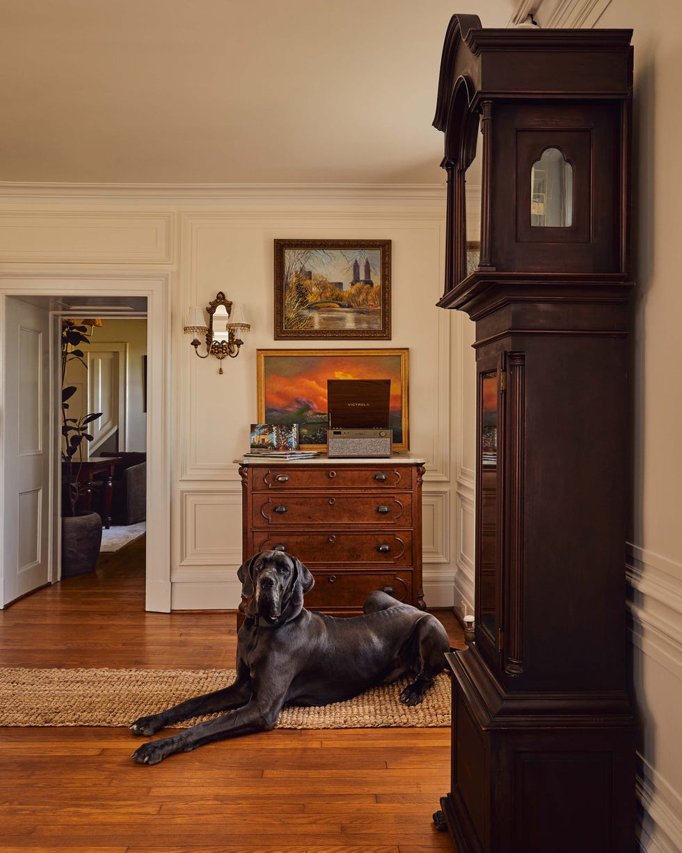 Living room corner featuring a large dog and antique furniture.
