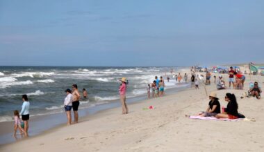 New York to monitor beaches for sharks over the summer, officials say