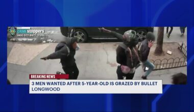 News 12 | Bronx | 3 Men On The Run After 5 Year Old Grazed By Bullet In Longwood