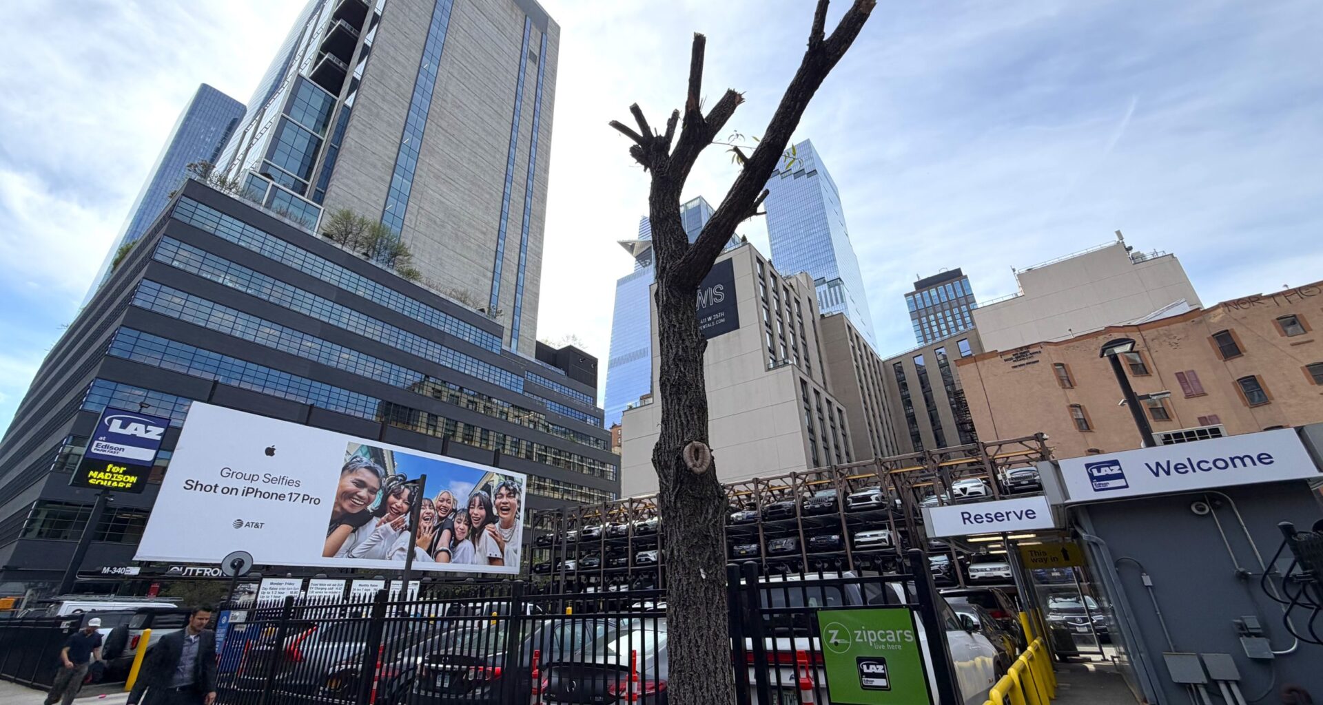 Two 9th Avenue Trees Stripped Back — to Give Visibility to a Billboard