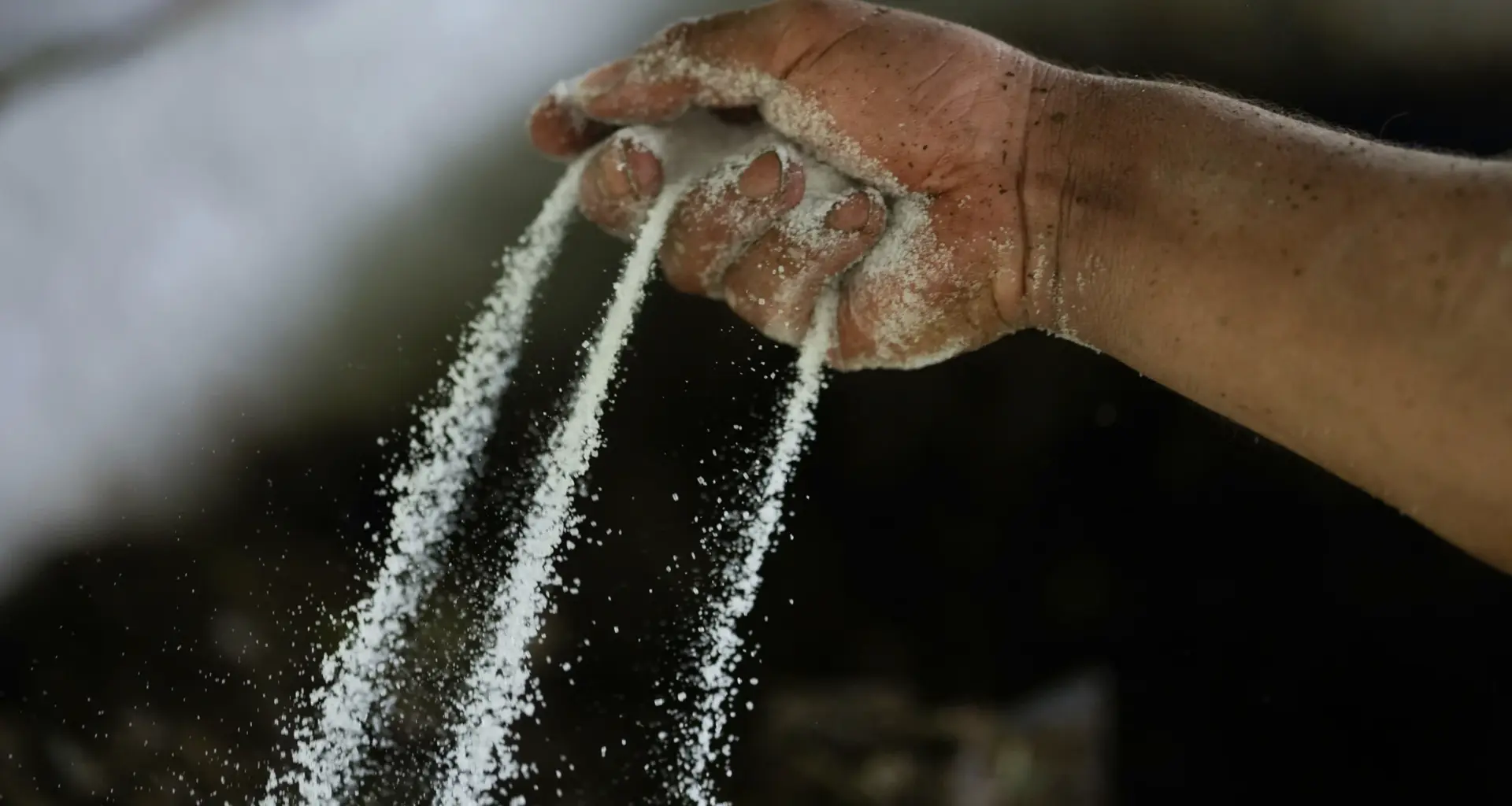 A farm laborer sprinkles powdered chemicals over mulched coca leaves as part of the process in making a coca base, in the hillsides of the Micay Canyon, southwestern Colombia, Tuesday, Aug. 13, 2024. The Micay Canyon connects the Andes Mountains and the Pacific Ocean, serving as a corridor for drug and weapons trafficking. Photo: Fernando Vergara/AP