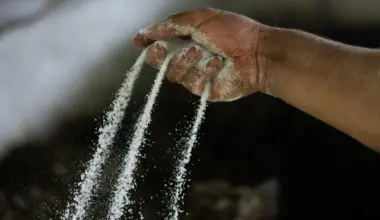 A farm laborer sprinkles powdered chemicals over mulched coca leaves as part of the process in making a coca base, in the hillsides of the Micay Canyon, southwestern Colombia, Tuesday, Aug. 13, 2024. The Micay Canyon connects the Andes Mountains and the Pacific Ocean, serving as a corridor for drug and weapons trafficking. Photo: Fernando Vergara/AP