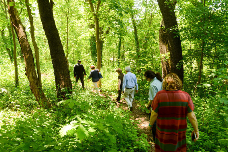 Why New York City is falling behind other major cities in public parks, according to nonprofit’s national report