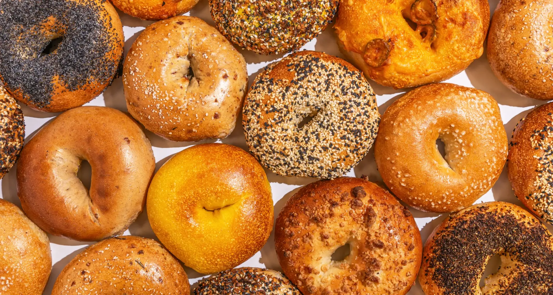 Baltik’s Bagel Rises to the Top at New York BagelFest