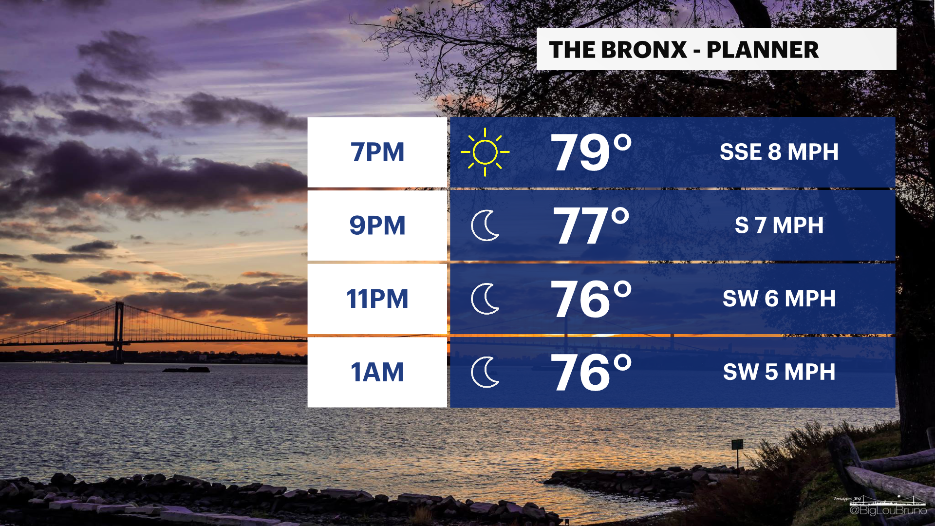 BRONX PLANNER - PM (2).png