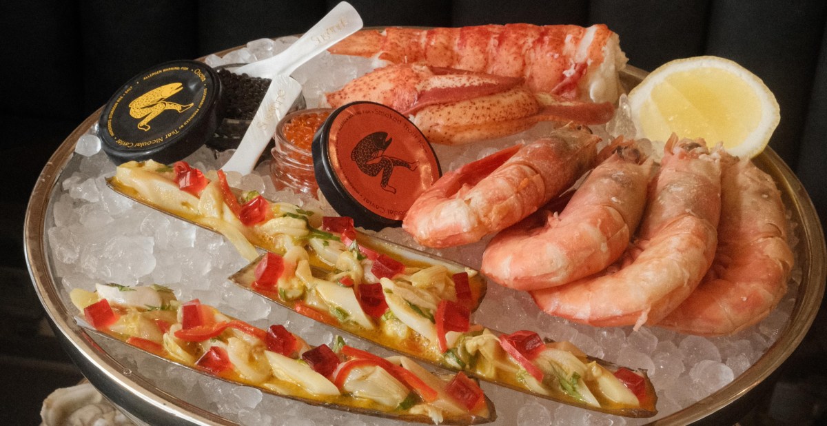 Bar Susanne Opens in Brooklyn With New York Seafood and Cocktails