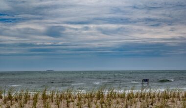 Queens’ beaches open for summer season — Queens Daily Eagle