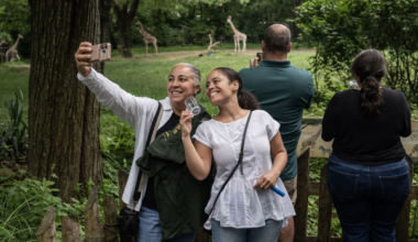 Bronx Zoo’s Brew at the Zoo Returns June 12 - River Journal Online