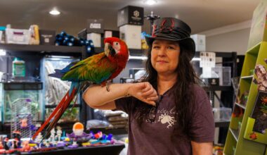 Manhattan’s wildest secret - Kansas State Collegian