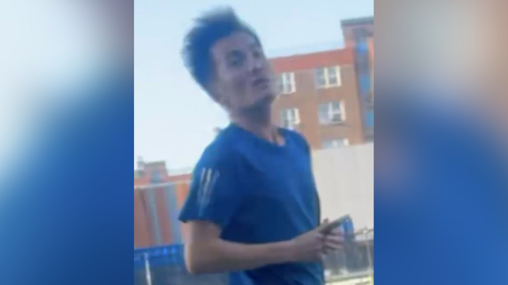 Cops hunt for suspect who choked one child, shoved two others at Brooklyn playground