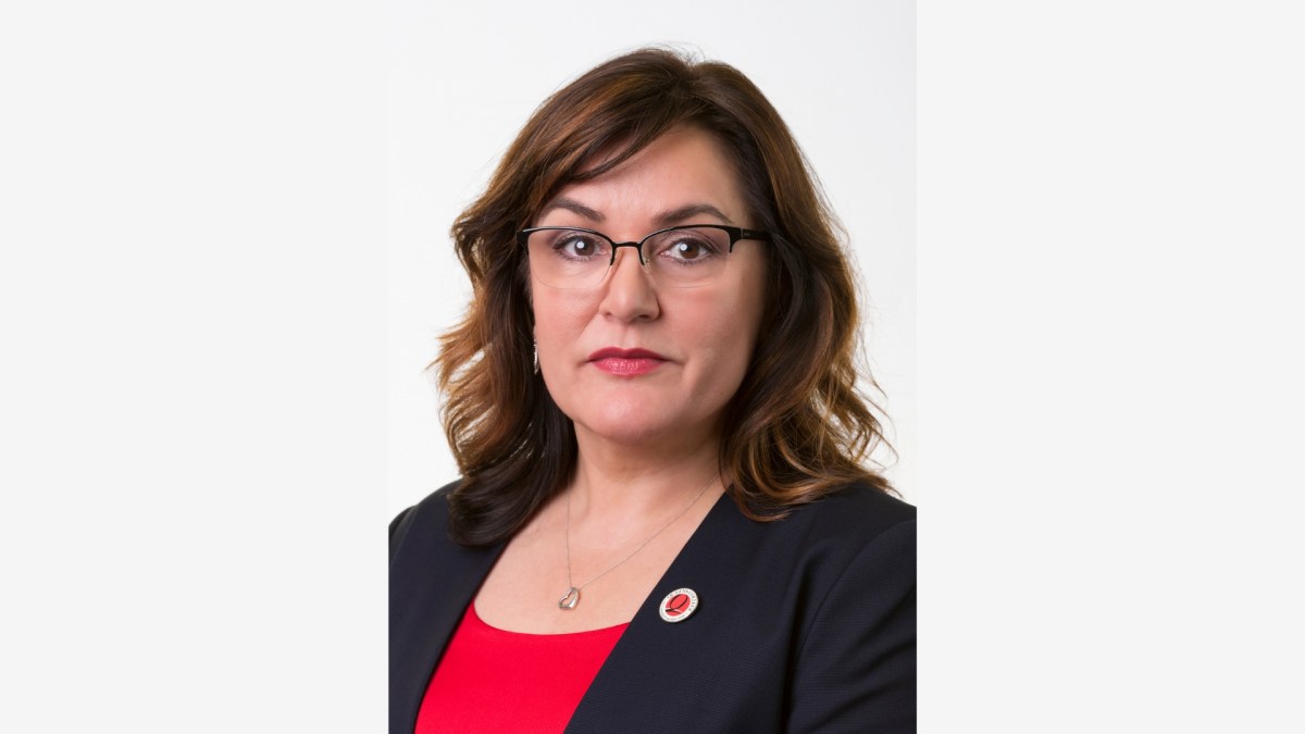 Meet Queens College’s First Dean of Business, Carmen Cotei
