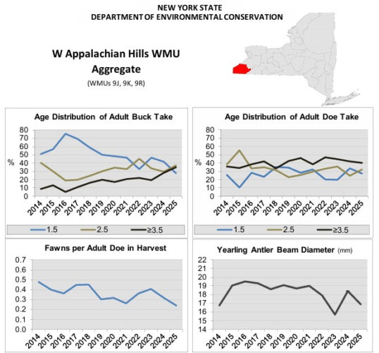 Record buck age structure marks big year for NY hunters | News, Sports, Jobs