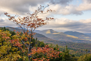 Open Space Institute wins legal battle over 15-acre parcel – Daily Freeman