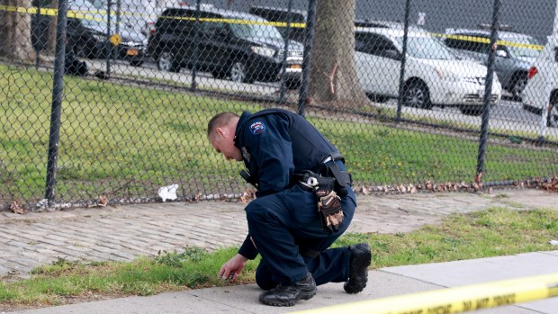 BROOKLYN - NY - 04/18/2023 - NYPD 69th Precinct and ESU officers investigate and collect evidence on the corner of Flatlands and Louisiana Avenues after an MTA bus driver was shot at and grazed by a bullet on his arm at the bus stop at the above location. Accordingly to reports several shots were fired and ESU Officers were seen removing a bullet from a tree trunk at the location. It was unclear if the bus driver was shot inside the bus or in the bus stop while waiting for a bus around 6:30AM. (Luiz C. Ribeiro for New York Daily News)