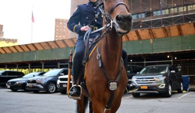 From saddle to shield: Mounted cop reflects on Upper West Side horse pursuit that earned him promotion