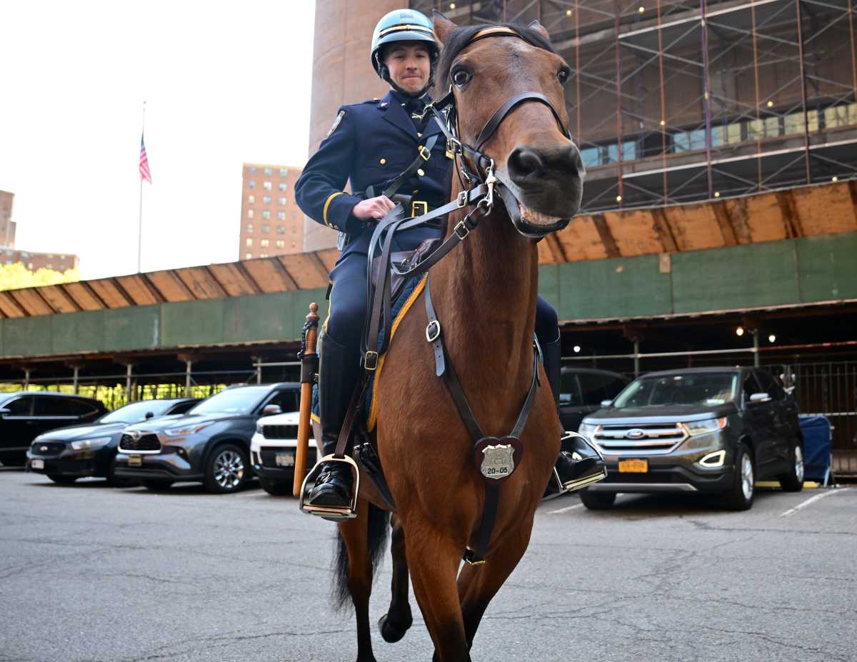 From saddle to shield: Mounted cop reflects on Upper West Side horse pursuit that earned him promotion