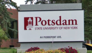 Teenager arrested after SUNY student dies in hit and run