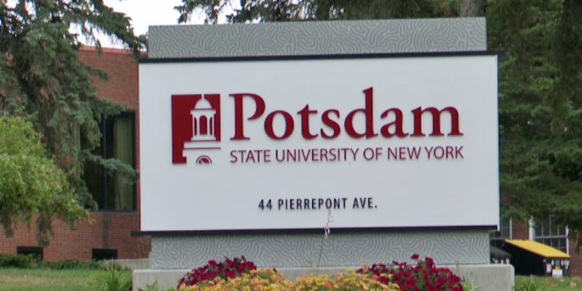 Teenager arrested after SUNY student dies in hit and run