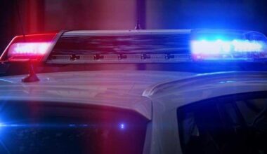 Dog killed by Brooklyn Center police after attacking officers