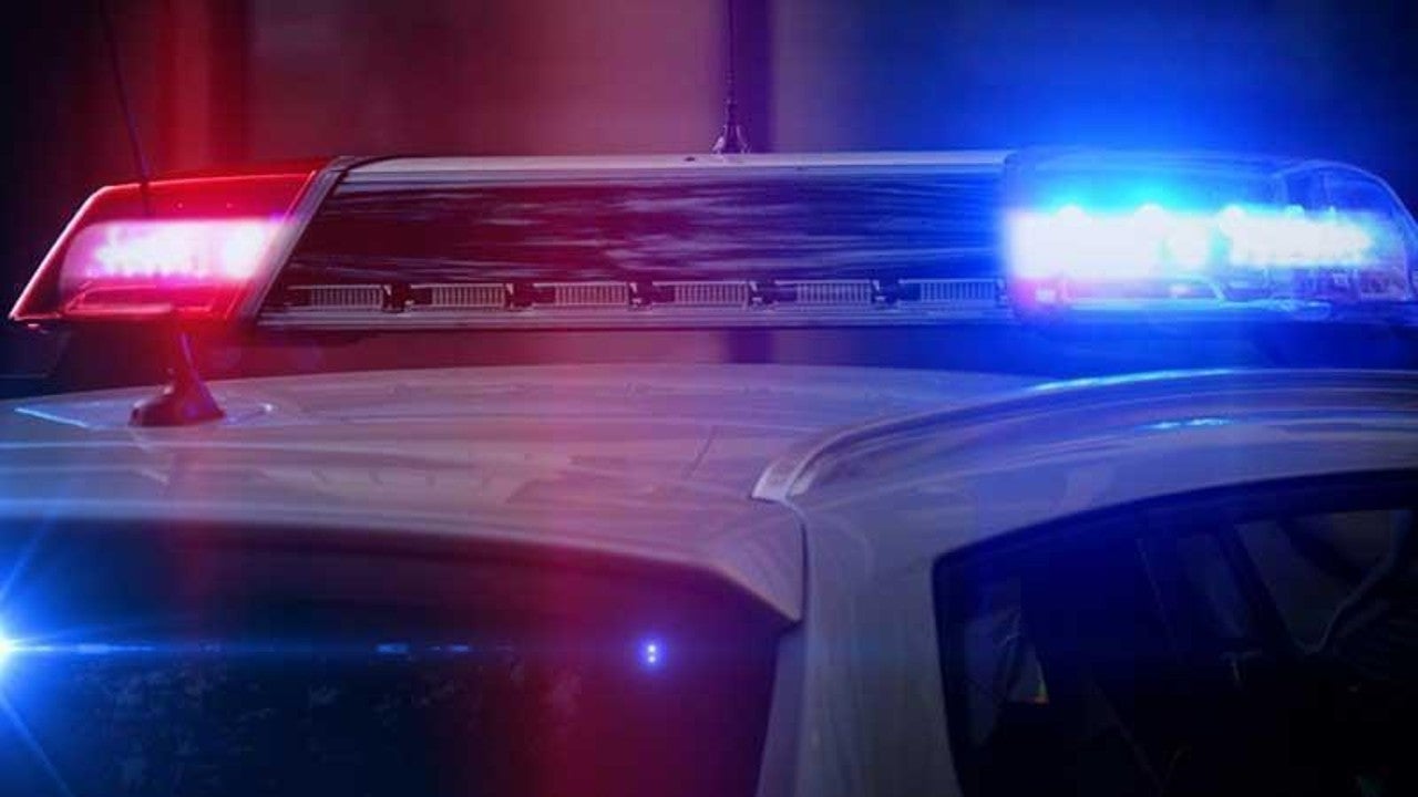 Dog killed by Brooklyn Center police after attacking officers