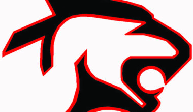 Manhattan sweeps Panthers in twin bill